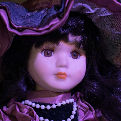 Musée d'Arces en Arts et Traditions