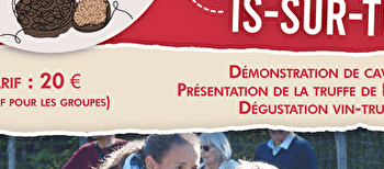 Demi-journée découverte de la truffe de Bourgogne - IS-SUR-TILLE