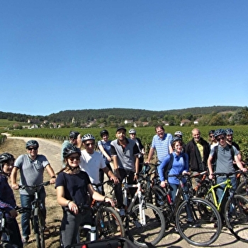 Balade à vélo dans les Crémants de Bourgogne - CHATILLON-SUR-SEINE