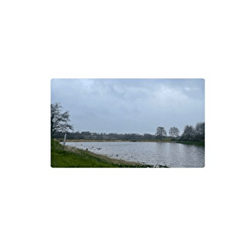 Etang La Varenne - LESSARD-EN-BRESSE
