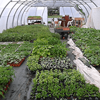 GAEC La Mauvaise Graine - ETRIGNY