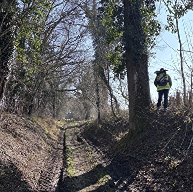 Balade Verte - En terre Lesdégarienne (PLM4)