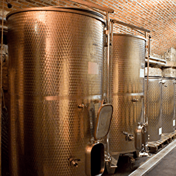 Visite et dégustation au Domaine Debray - BEAUNE