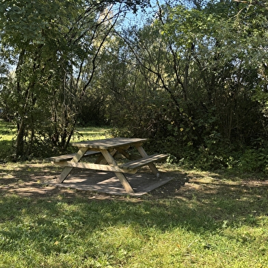Site de pique-nique à la base de loisirs de la Saline