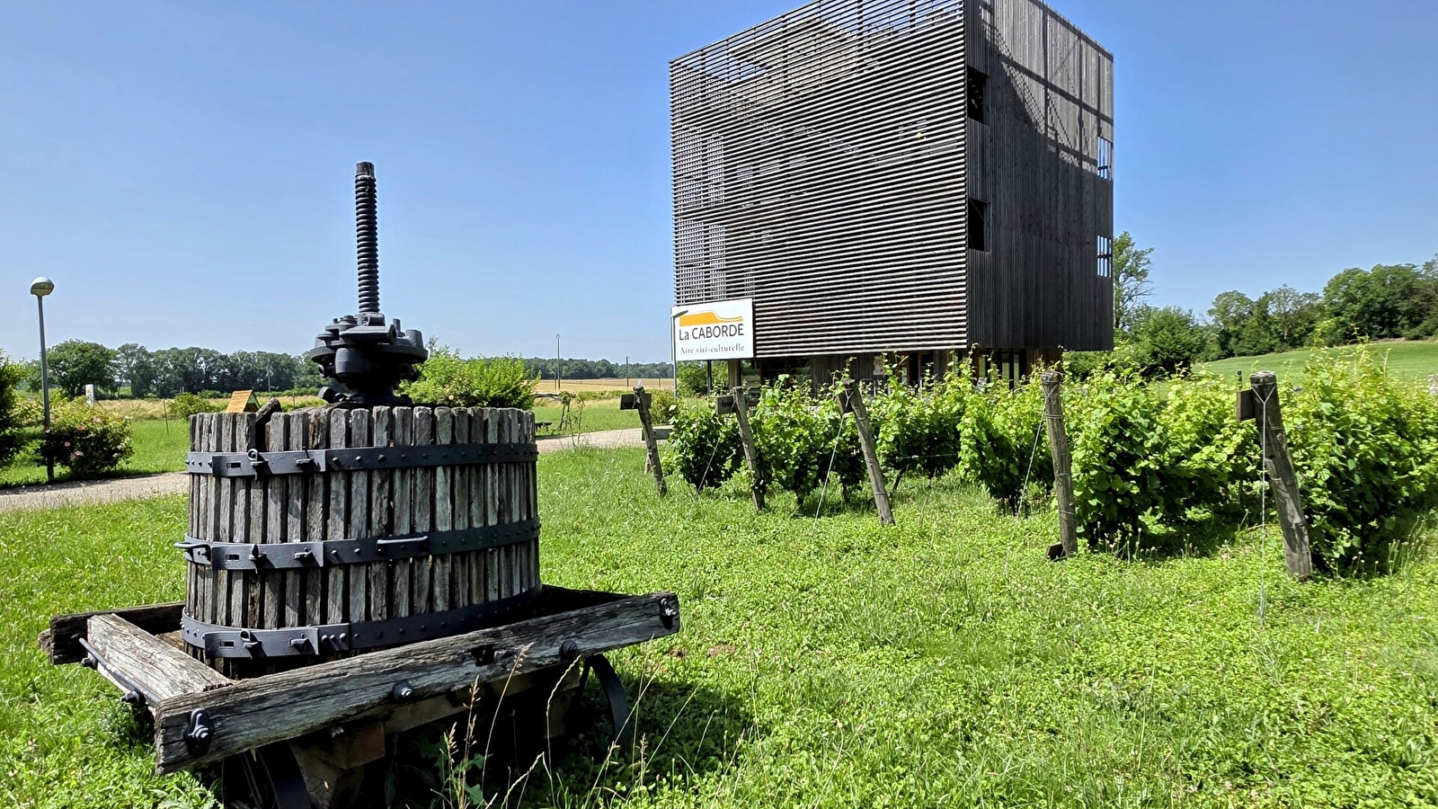La Caborde, aire viti-culturelle
