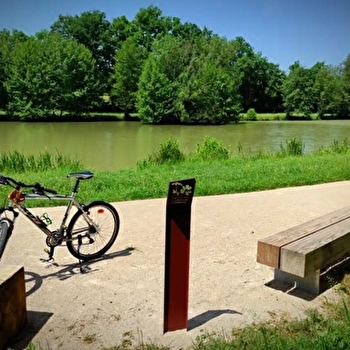 Circuit VTT-VTC n°16 (bleu) - Domaine de Mépillat et Grand Montrachy - SAINT-NIZIER-LE-BOUCHOUX