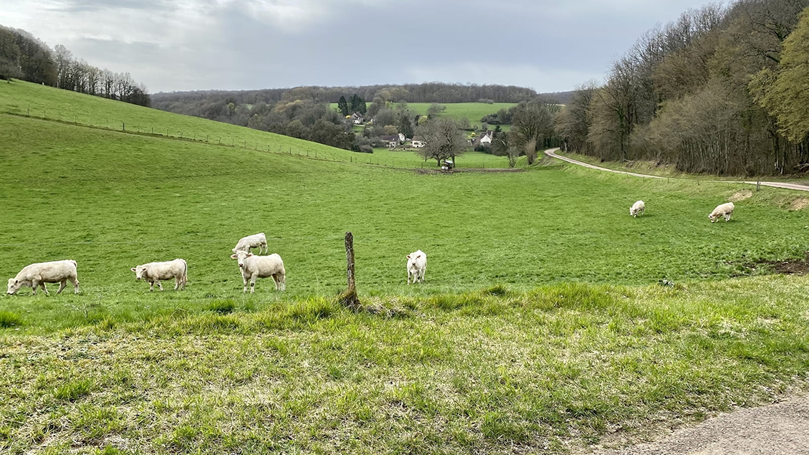 En forêt autour de Cessy-les-Bois