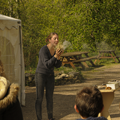 Visites et ateliers scolaires à la Grotte d'Arcy-sur-Cure