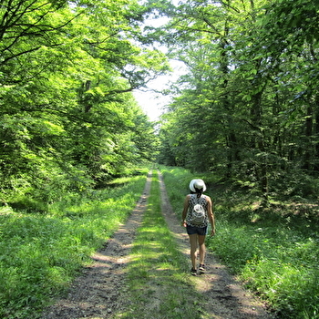 Livret jeu Sur les pas de Gabrielle - AUTREY-LES-GRAY