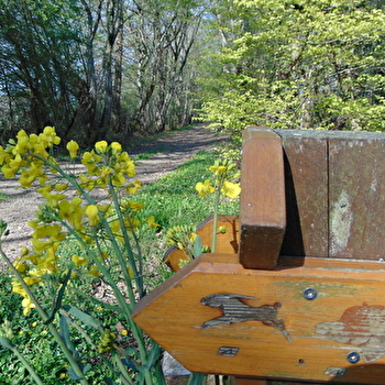 Randonnées à Toury-Lurcy / Circuit du sanglier - TOURY-LURCY