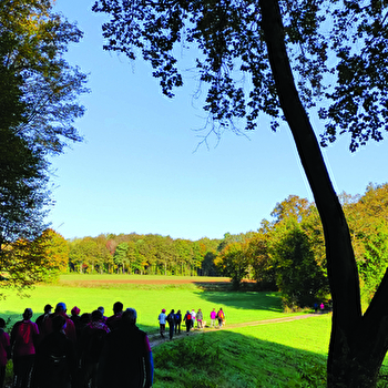 Trail des dolines - Version 9 km - DAMPIERRE-SUR-LINOTTE