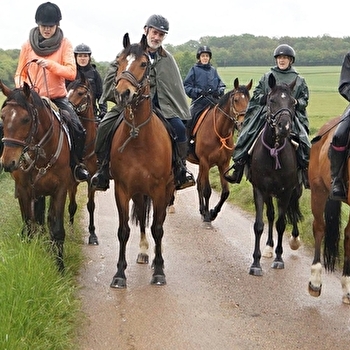 Elevage Tobesben - SEPEAUX-SAINT ROMAIN