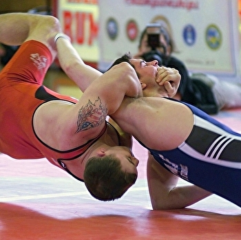 Les Lions de Jussey  - JUSSEY