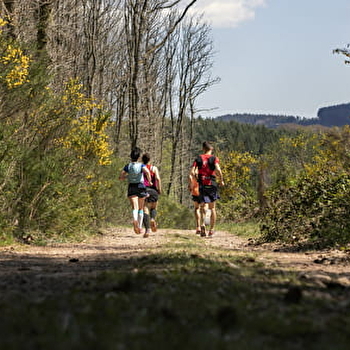 Circuit de Trail : Boucle n°1 de Chateau-Chinon - CHATEAU-CHINON (VILLE)