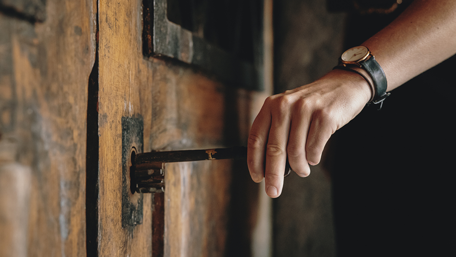 Domaine Chanson - Visite & Dégustation