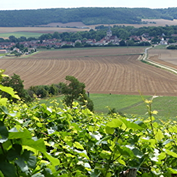Girard Jean - BELAN-SUR-OURCE