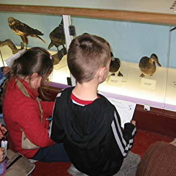 Visite de l'espace muséographique du Centre Eden - Découverte des richesses naturelles de la Bourgogne - CUISERY