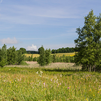 Lac de Fort-du-Plasne - FORT-DU-PLASNE
