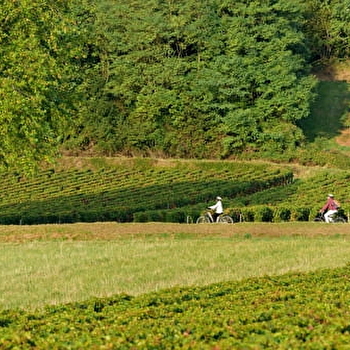 La VélOeno71 : à la rencontre du noble Pinot Noir - GIVRY