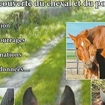 Rênes en mains - VARENNE-SAINT-GERMAIN