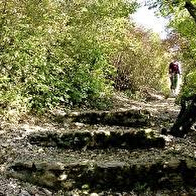 Parc de la Combe Persil