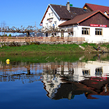 Les Cygnes - VILLERS-LE-LAC