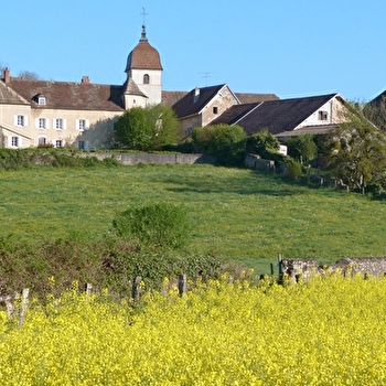 Vallée de l'Ognon - THUREY-LE-MONT