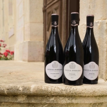 Château de Pommard - Expérience Clos Marey-Monge - POMMARD