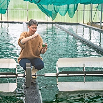 La Spiruline du Doubs - VILLERS-SAINT-MARTIN