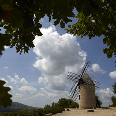 Visite guidée « Découverte contée du Moulin de Santenay en compagnie de Madeleine »