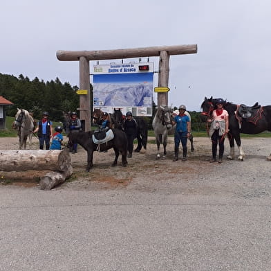 Les sabots dans l'eau