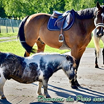 Centre équestre des Boulingrins - SCEY-SUR-SAONE-ET-SAINT-ALBIN