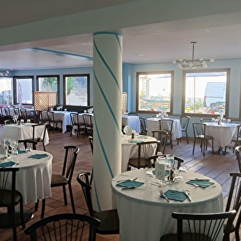 La Plume Majestueuse - GRAY