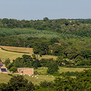 Gîte de la Ferme des Ruats - BUSSIERES