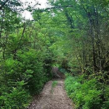 Parcours gravel rouge - Les Enfants du Marais - Espace FFC Ain Forestière - BELLEY