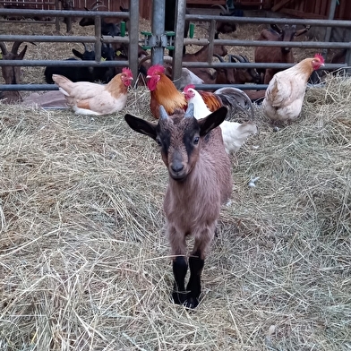 Les Coulisses du Terroir - Les Fermes des Bajais