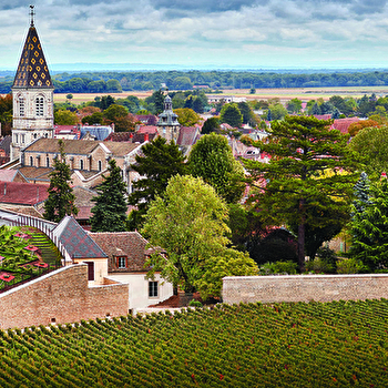 Jean-Claude Boisset - Les Ursulines - NUITS-SAINT-GEORGES