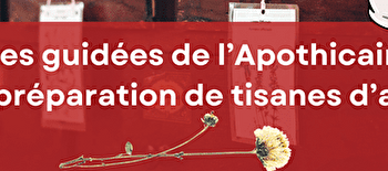APOTHICAIRERIE : visites guidées et préparation de tisanes d'amour  - SAINT-AMOUR