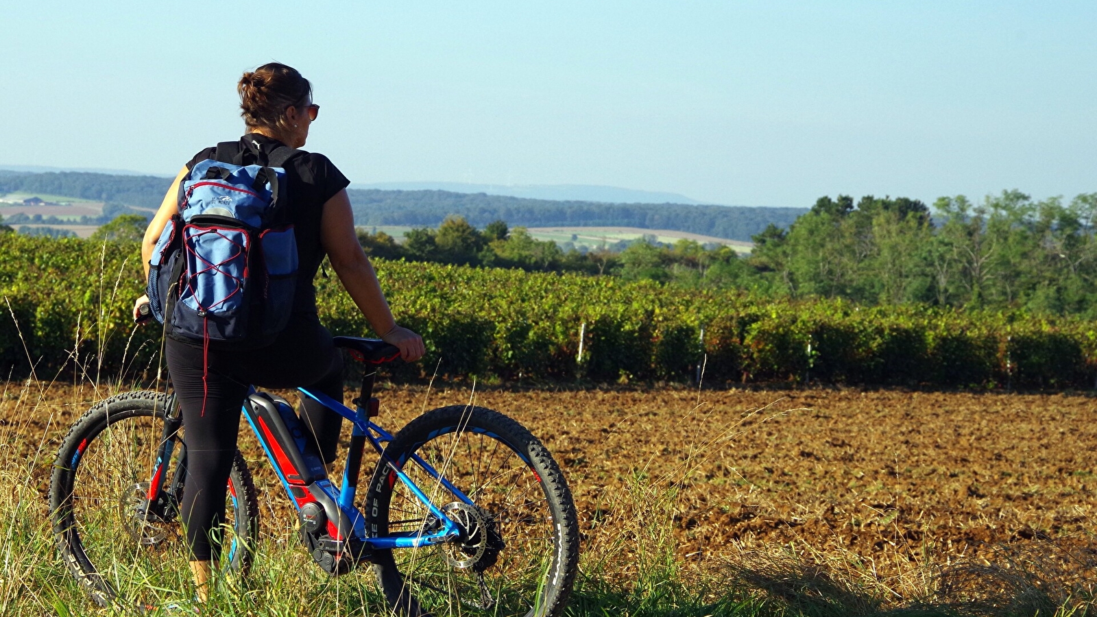 La Pierre qui Vire - n° 19