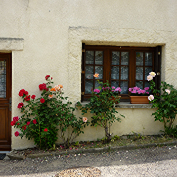 La Flèche des Vents - NOGENT-LES-MONTBARD