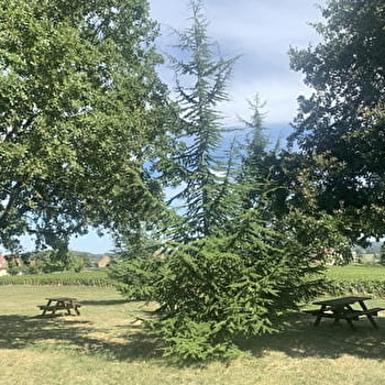 Aire de pique-nique Noizeret - SAINT-BOIL