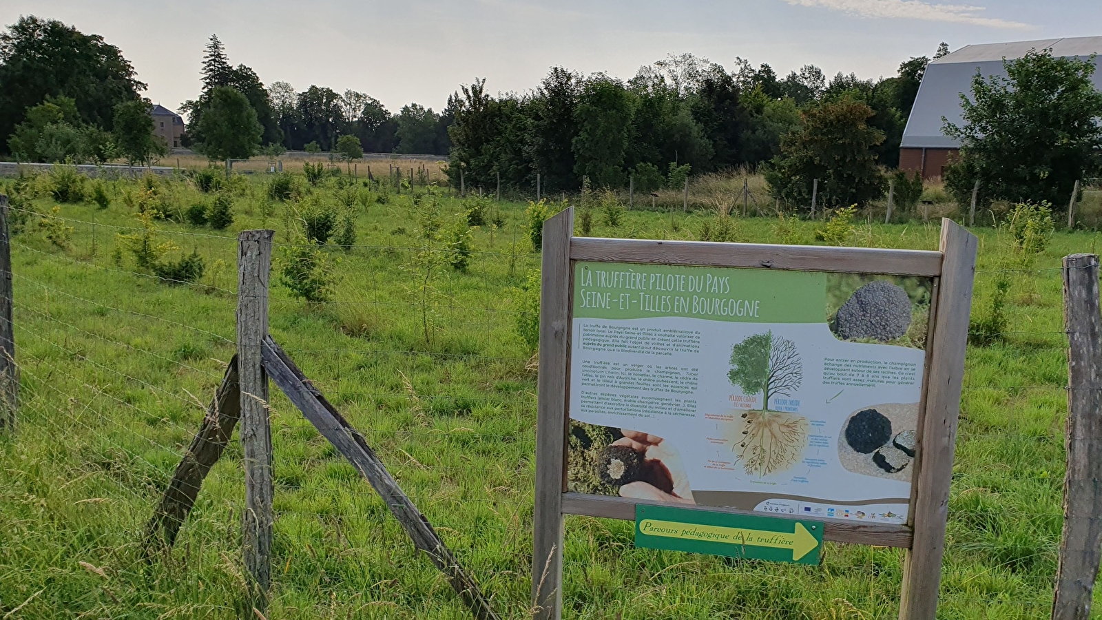 Truffière et parcours pédagogique du Pays Seine-et-Tilles