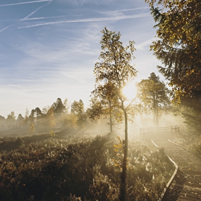 Conférence Marc-André Sélosse et les mystères du sol