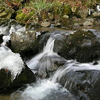 La boucle du Mont Coron - AUXELLES-BAS