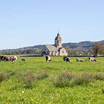 Les Gorges de la Valouse - 50B - ARINTHOD