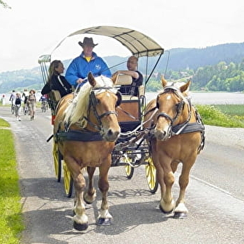 Les Attelages Aroules - MALPAS