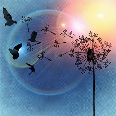 Centre de Ressourcement - Nature Divine