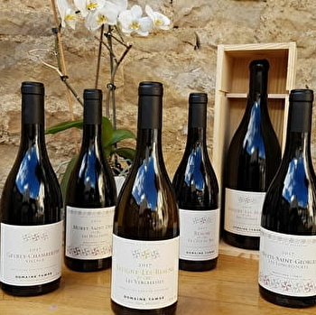 Marchand-Tawse - NUITS-SAINT-GEORGES