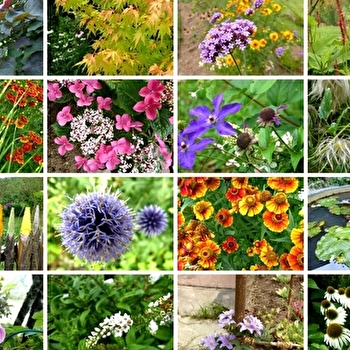 Jardin de la ferriere - AMONT-ET-EFFRENEY