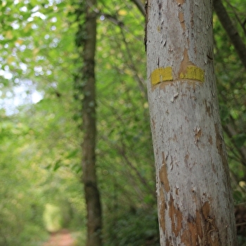 Circuit des Fermes - CHEMIN-D'AISEY